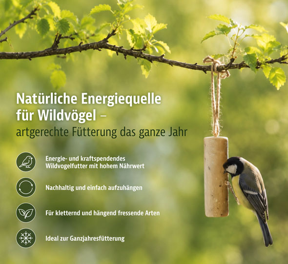 6er-Pack Meisenstangen mit Insekten01