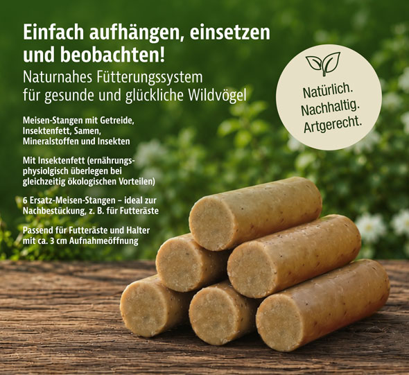 6er-Pack Premium Meisenstangen aus Insektenfett02