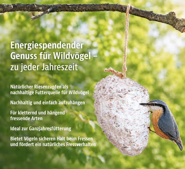Premium-Riesenzapfen mit Fettfutter f�r Wildv�gel01