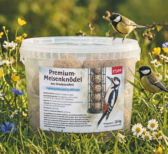 Premium-Meisenkn�del aus Insektenfett - 20 St�ck