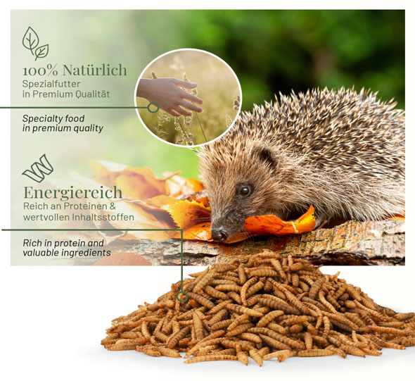 Insektenmix f�r Heim- und Wildtiere02