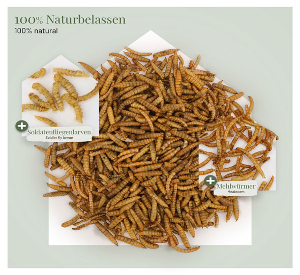 Insektenmix f�r Heim- und Wildtiere03