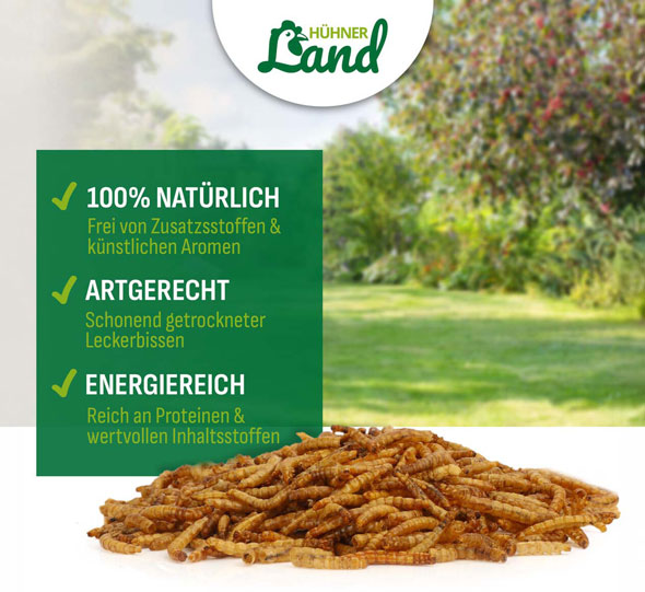 Mehlw�rmer f�r Heim- und Wildtiere03