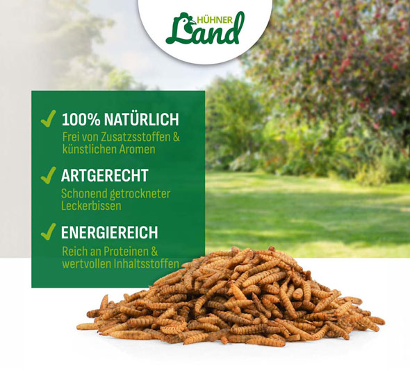 Soldatenfliegenlarven f�r Heim- und Wildtiere02