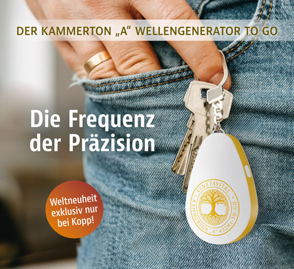 Kammerton A Wellengenerator01