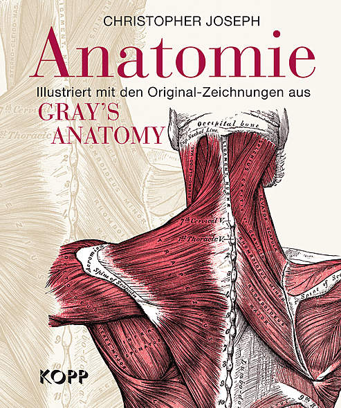 Anatomie - Bücher - Kopp Verlag