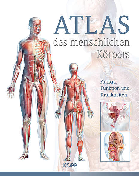 Alle Atlas des menschlichen körpers auf einen Blick