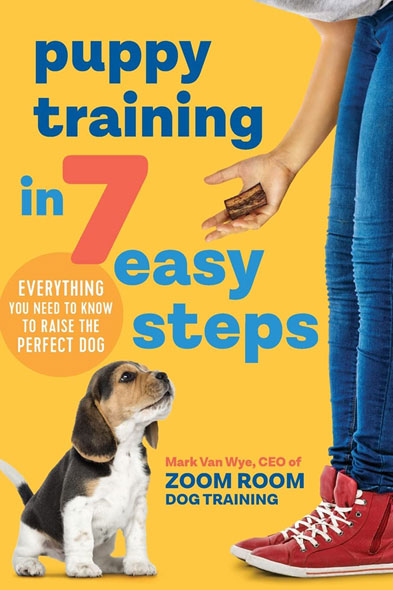 Puppy Training in 7 Easy Steps - Mngelartikel