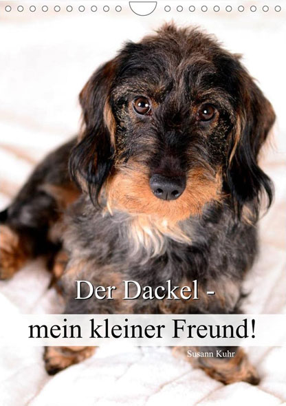 Der Dackel - mein kleiner Freund (Wandkalender 2025 DIN A4 hoch) - Mngelartikel