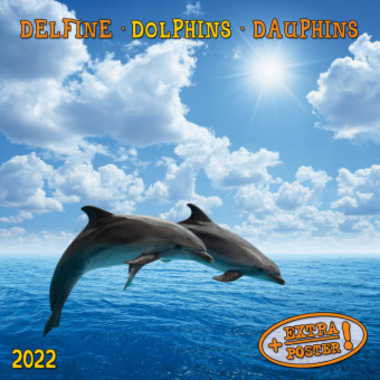 Dolphins/Delfine 2022