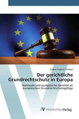 Der gerichtliche Grundrechtschutz in Europa
