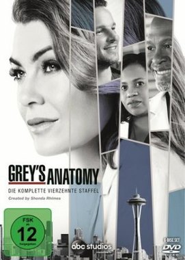 Grey's Anatomy. Staffel.14, 6 DVDs