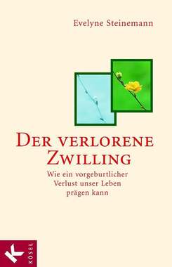 Der verlorene Zwilling, Steinemann E.,Der verlorene Zwilling, Steinemann E.,Der verlorene Zwilling_small