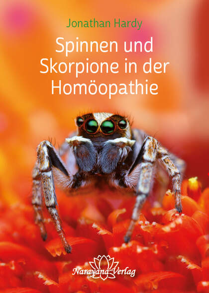 Spinnen und Skorpione in der Homöopathie